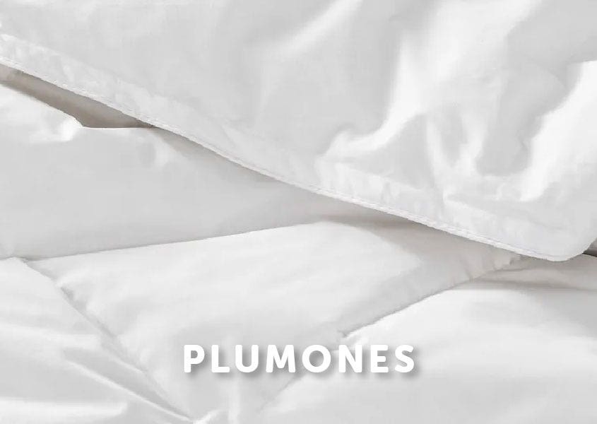 PLUMONES